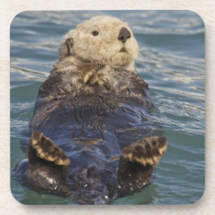 Dessous-de-verre La loutre de mer joue sur les icebergs à Surprise