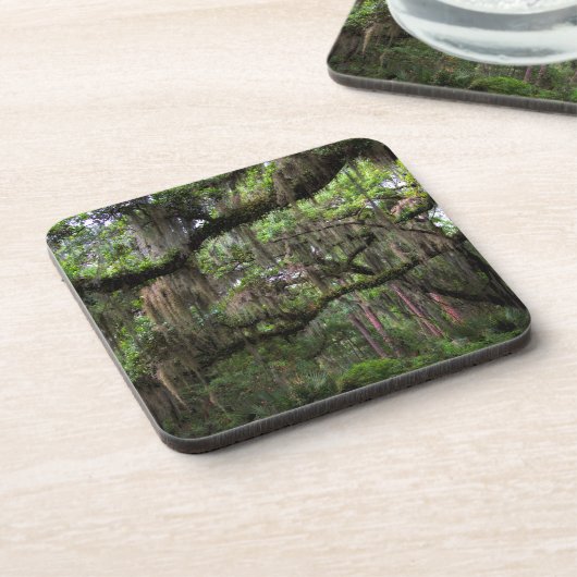 Dessous-de-verre La mousse espagnole a orné Live Oak (Côté gauche)