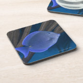 Dessous-de-verre La vie sous-marine : Coeruleus d'Acanthurus avec (Côté gauche)