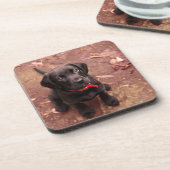 Dessous-de-verre Laboratoire noir datant de 36 semaines (Côté gauche)