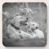 DESSOUS-DE-VERRE LABRADOR CHIENS RELAXANT (Devant)