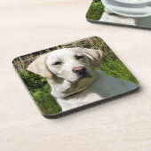 DESSOUS-DE-VERRE LABRADOR DOG (Côté gauche)