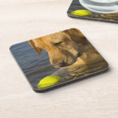 Dessous-de-verre Labrador jaune avec de la balle de tennis dans (Côté gauche)