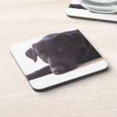 Dessous-de-verre labrador retriever (Côté gauche)