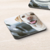 Dessous-de-verre Labrador retriever (Côté gauche)