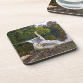 Dessous-de-verre Lac de Swan (Côté gauche)