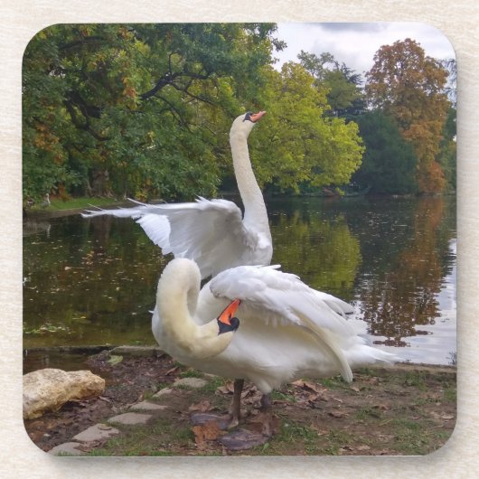 Dessous-de-verre Lac de Swan (Devant)