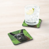 Dessous-de-verre Lama avec l'attitude - collage de la photo de (Côté Droit)