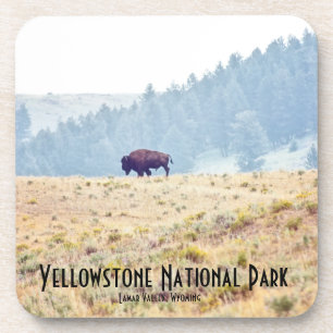 Dessous-de-verre Lamar