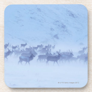 Dessous-de-verre L'Angleterre