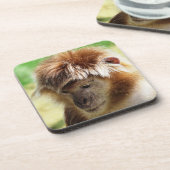 DESSOUS-DE-VERRE LANGUR MONKEY (Côté gauche)