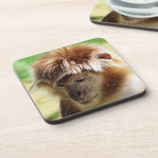 DESSOUS-DE-VERRE LANGUR MONKEY (Côté gauche)