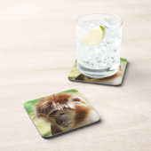 DESSOUS-DE-VERRE LANGUR MONKEY (Côté Droit)