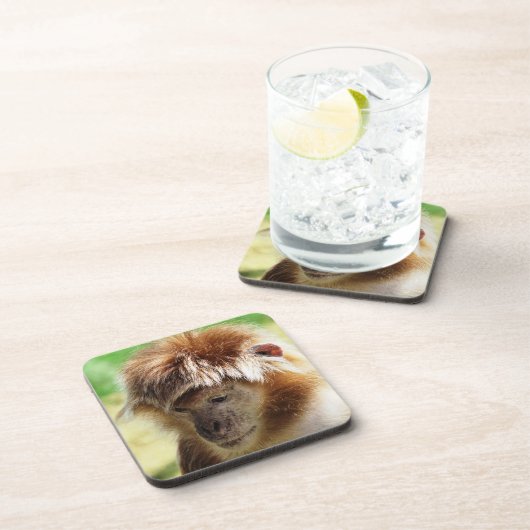 DESSOUS-DE-VERRE LANGUR MONKEY (Côté Droit)