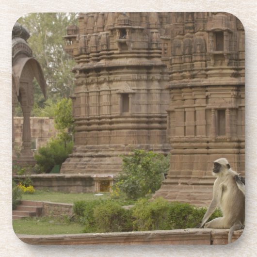 Dessous-de-verre Langurs d'Hanuman ou langur commun (Devant)