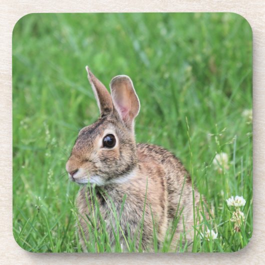 Dessous-de-verre Lapin (Devant)