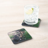 Dessous-de-verre Lapin Brown, Repos dans la nature (Côté Droit)