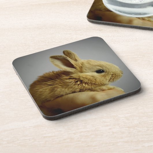 Dessous-de-verre Lapin lapin mignon bébé à la main (Côté gauche)