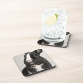 Dessous-de-verre Lapin noir et blanc surpris (Côté Droit)