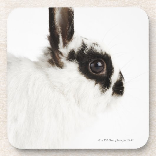 Dessous-de-verre Lapin Wooly du Jersey (Devant)