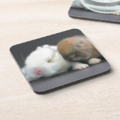 Dessous-de-verre Lapins nains de Netherland (Côté gauche)