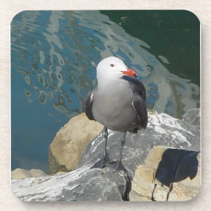 Dessous-de-verre Larry Day de la Mouette Ken Gage Photographie d'oi