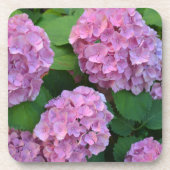 Dessous-de-verre Le buisson d'hortensia rose (Devant)