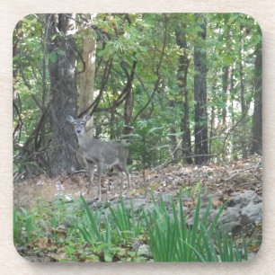 Dessous-de-verre Le cerf à la lisière des bois