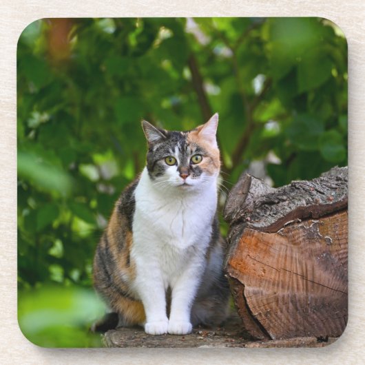 Dessous-de-verre Le chat (Devant)