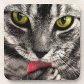 Dessous-de-verre Le chat lèchent (Devant)