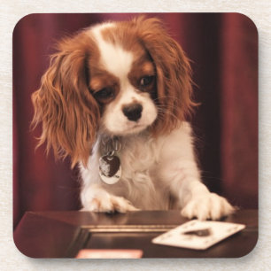 Dessous-de-verre Le chiot joue aux cartes