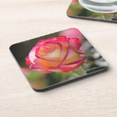 Dessous-de-verre Le double plaisir s'est levé (Côté gauche)