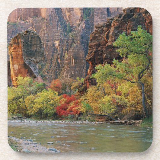 Dessous-de-verre Le feuillage d'automne le long de la rivière Virgi (Devant)