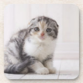 Dessous-de-verre Le Japon 5 (Devant)