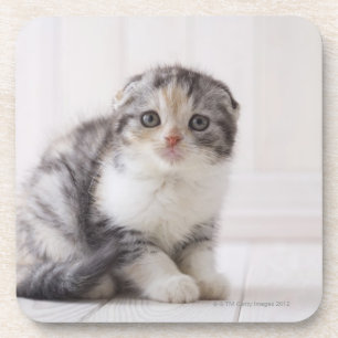 Dessous-de-verre Le Japon 5