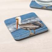 Dessous-de-verre Le Pélican de Californie sur la plage (Côté gauche)