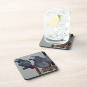 Dessous-de-verre Le perroquet gris du Congo en miroir (Côté Droit)