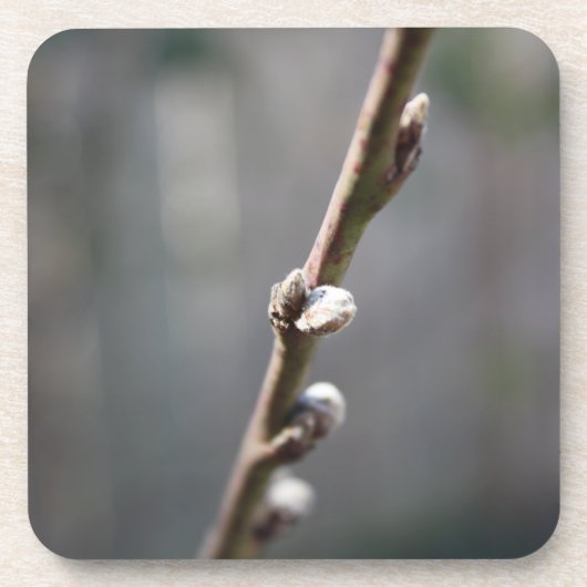 Dessous-de-verre Le printemps arrive (Devant)