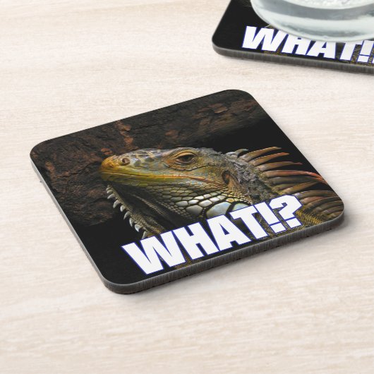 Dessous-de-verre Le Quoi ! ? Iguana (Côté gauche)