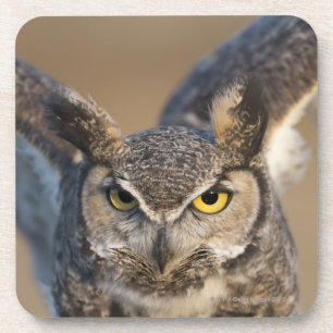 Dessous-de-verre Le Wyoming, Etats-Unis