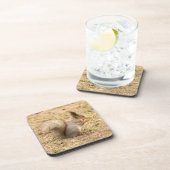 Dessous-de-verre L'écureuil mignon mange une photo de noix (Côté Droit)