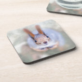 Dessous-de-verre L'écureuil vous regarde du bas vers le haut (Côté gauche)