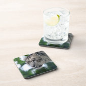 Dessous-de-verre Leopard 003 (Côté Droit)