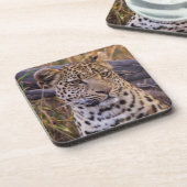 Dessous-de-verre Léopard assis, Botswana, Afrique (Côté gauche)
