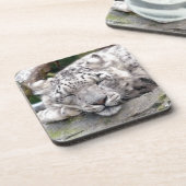 Dessous-de-verre Léopard de neige - beau ! (Côté gauche)