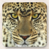 Dessous-de-verre Léopard féroce (Devant)