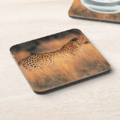 Dessous-de-verre Léopard (pardus de Panthera) (Côté gauche)