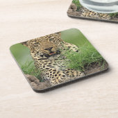 Dessous-de-verre Léopard, pardus de Panthera, jeu de Sabi Sabi (Côté gauche)