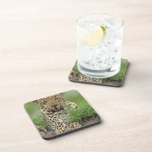 Dessous-de-verre Léopard, pardus de Panthera, jeu de Sabi Sabi (Côté Droit)