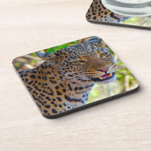 Dessous-de-verre Leopard tacheté (Côté gauche)